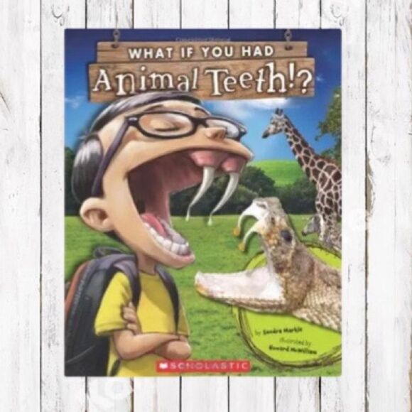 SET OF 20 Children’s Books “What If You Had Animal Teeth” Classroom Set NWT - Picture 1 of 12